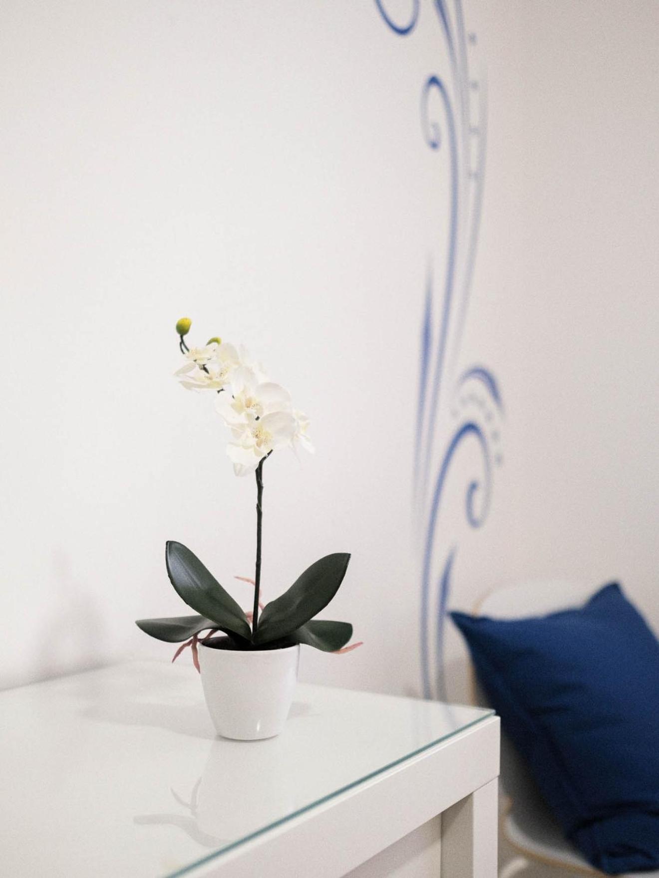 Cazenn - Z Apartament